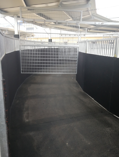 Stable corridor with rubber flooring