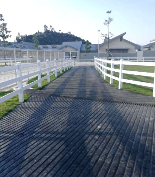 Horse walkway with heavy-duty rubber flooring